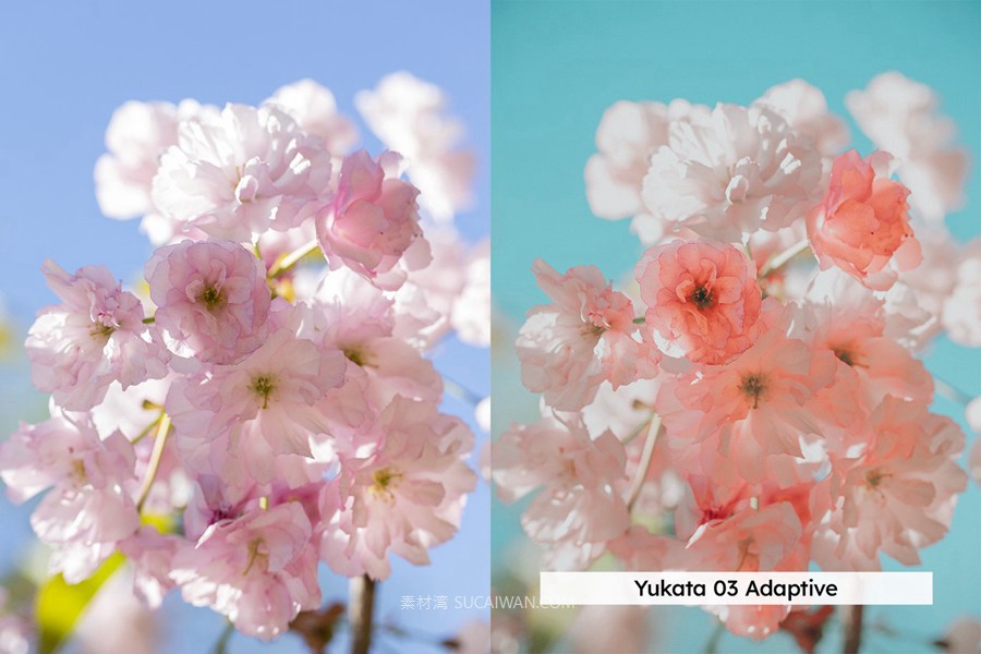 20组柔和色调粉色樱花旅拍摄影照片调色Lightroom&lut预设 20 Blossom Lightroom Presets and LUTs , 第3张