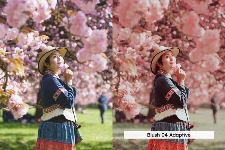 20组柔和色调粉色樱花旅拍摄影照片调色Lightroom&lut预设 20 Blossom Lightroom Presets and LUTs , 第5张