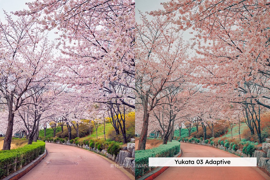 20组柔和色调粉色樱花旅拍摄影照片调色Lightroom&lut预设 20 Blossom Lightroom Presets and LUTs , 第9张