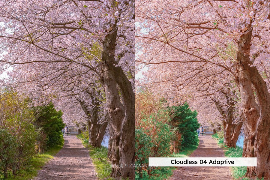 20组柔和色调粉色樱花旅拍摄影照片调色Lightroom&lut预设 20 Blossom Lightroom Presets and LUTs , 第8张