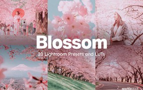 20组柔和色调粉色樱花旅拍摄影照片调色Lightroom&lut预设 20 Blossom Lightroom Presets and LUTs