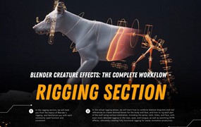 Vfx Grace Animal Creature Rigging Blender生物骨骼绑定行走动画视频教程 中英文字幕