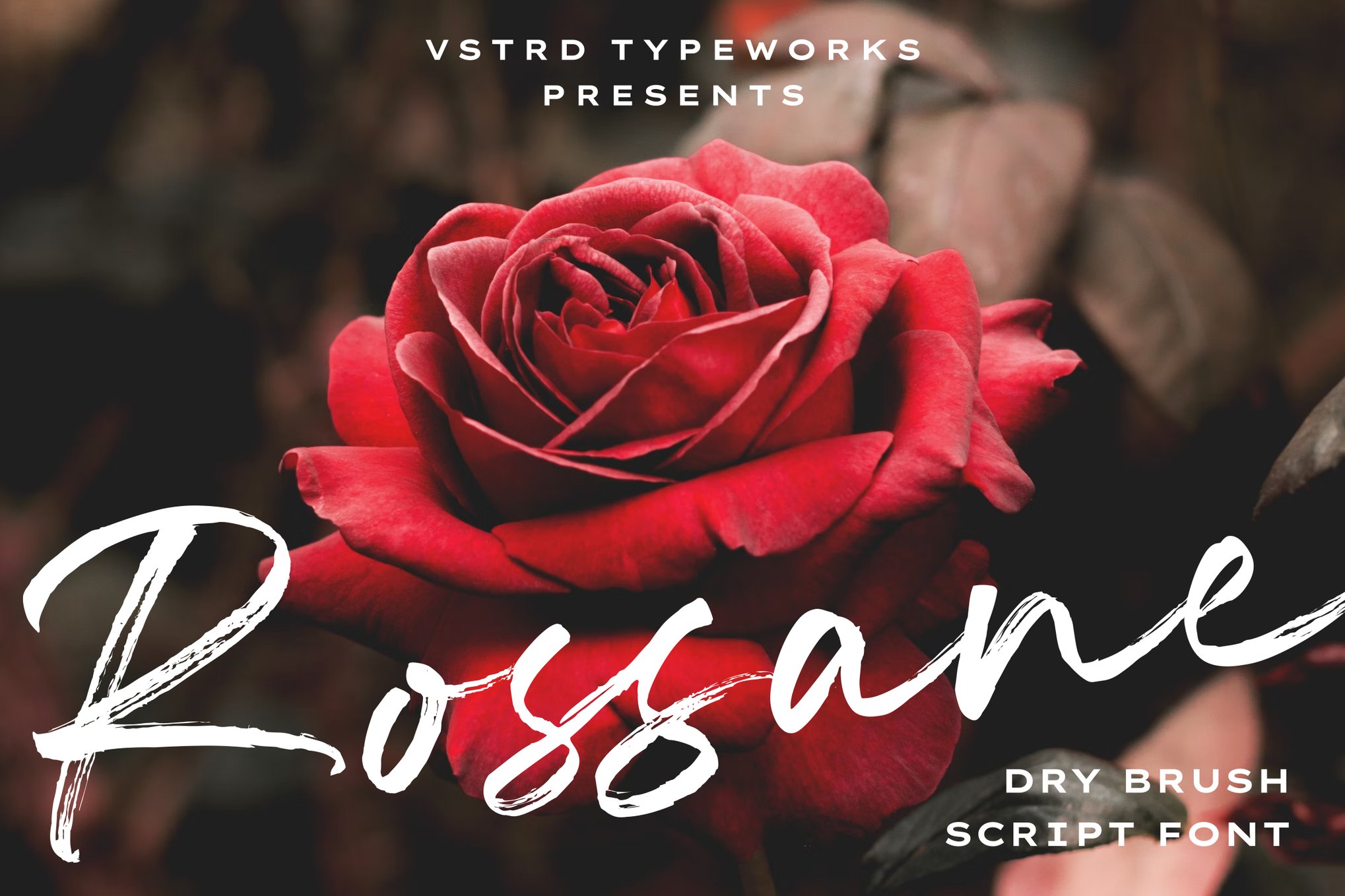 时尚海报传单品牌服装设计手写英文字体安装包 Rossane – Dry Brush Script Font , 第1张