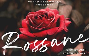 时尚海报传单品牌服装设计手写英文字体安装包 Rossane – Dry Brush Script Font