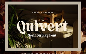 现代优雅杂志海报包装徽标设计衬线英文字体安装包 Quivert – Serif Display Font