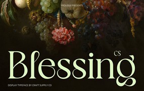 时尚复古新艺术风品牌海报徽标设计衬线英文字体安装包 Blessing – Art Nouveau Font