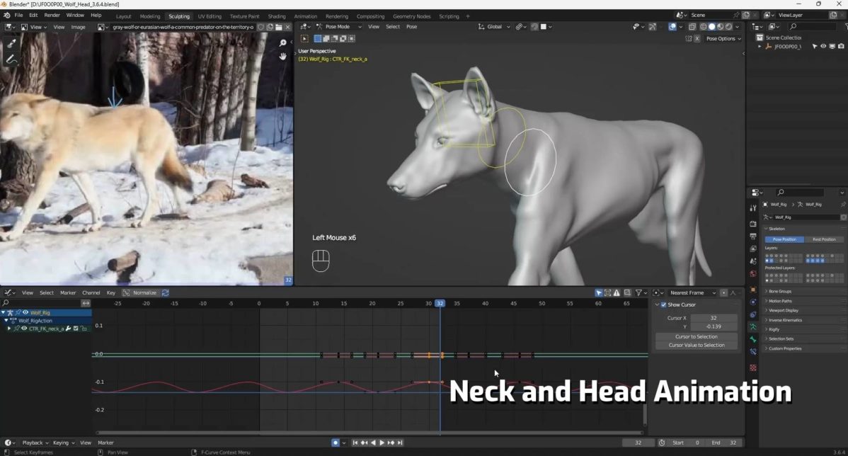 Vfx Grace Wolf Animation Blender野狼动物3D骨骼绑定动画视频教程 中英文字幕 , 第7张