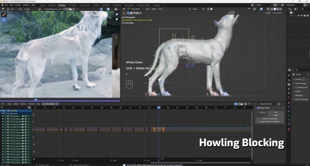 Vfx Grace Wolf Animation Blender野狼动物3D骨骼绑定动画视频教程 中英文字幕 , 第9张