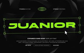 未来科幻品牌海报包装设计无衬线英文字体安装包 Juanior – Expanded Sans Serif Display